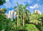 华轩大厦-环境绿化