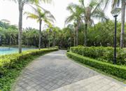 锦绣花园二期-环境绿化