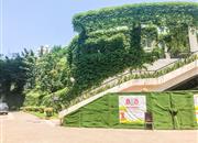 康佳苑-环境绿化