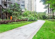 博海名苑-环境绿化