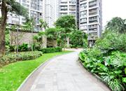 博海名苑-环境绿化