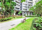 博海名苑-环境绿化