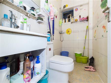 中城康桥花园（一期）-卫生间