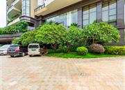 蝴蝶谷名苑-环境绿化