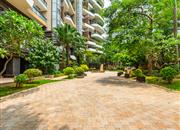 蝴蝶谷名苑-环境绿化