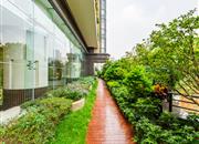 蝴蝶谷名苑-环境绿化