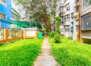 景田北-环境绿化