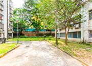 景田北-环境绿化