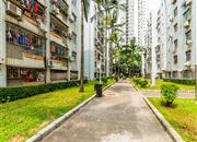 景田北-环境绿化