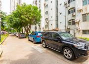 景田北-环境绿化