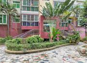 金景豪苑-环境绿化