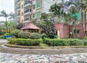 金景豪苑-环境绿化