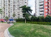 海滨假日雅居-环境绿化