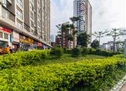 海滨假日雅居-环境绿化