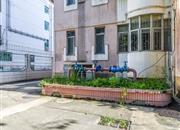 深港丽苑-环境绿化