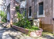 深港丽苑-环境绿化