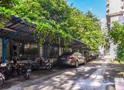 深港丽苑-环境绿化