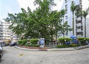 大澎花园-环境绿化