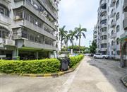 芳春花园-环境绿化