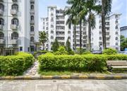 芳春花园-环境绿化