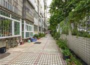 湖滨小学住宅楼-环境绿化