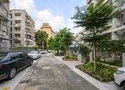 湖滨小学住宅楼-环境绿化