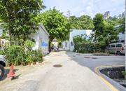 交运综合楼-环境绿化