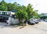 交运综合楼-环境绿化