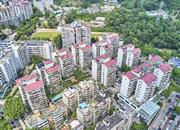 金枫花园-俯瞰图