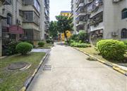 金枫花园-环境绿化