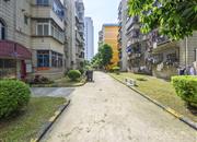 金枫花园-环境绿化