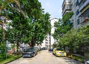 金枫花园-环境绿化