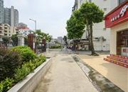 锦星花园-环境绿化