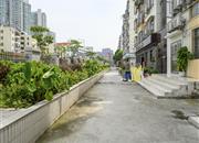 锦星花园-环境绿化