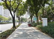 蓝馨苑-环境绿化