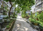 新秀村-环境绿化