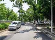 新秀村-环境绿化