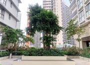 金地名津-环境绿化