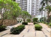 金地名津-环境绿化