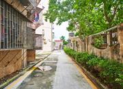 滨苑铁路新村-环境绿化