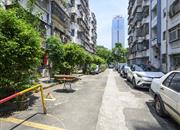 新秀村（北区）-环境绿化