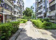 新秀村（北区）-环境绿化