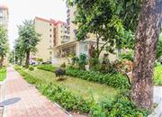 翠薇园-环境绿化