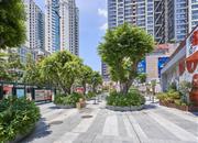 佳兆业中心-环境绿化