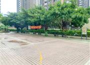 汇宾广场（一期）-环境绿化