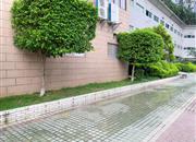 汇宾广场（一期）-环境绿化