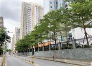 高发住宅-环境绿化