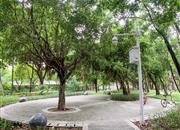 高发住宅-环境绿化