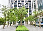 福岗园-环境绿化