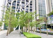 福岗园-环境绿化